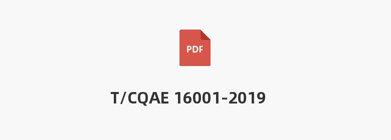 T/CQAE 16001-2019